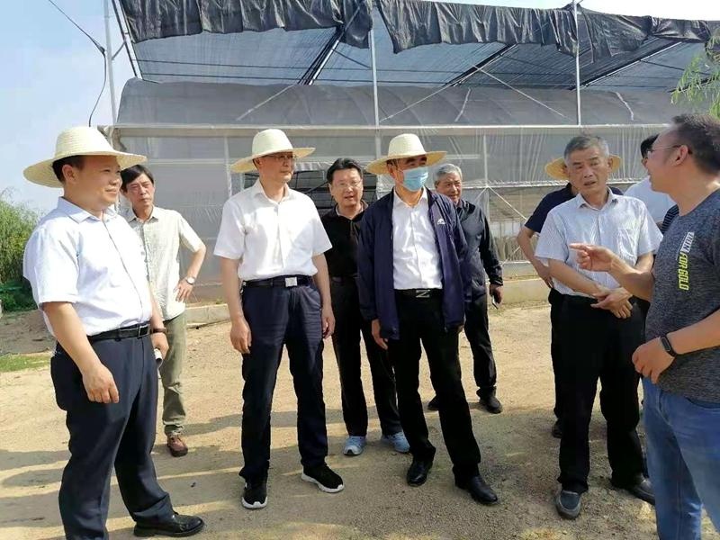 宋圣军率队到桐城市开展《固体废物污染环境防治法》执法检查