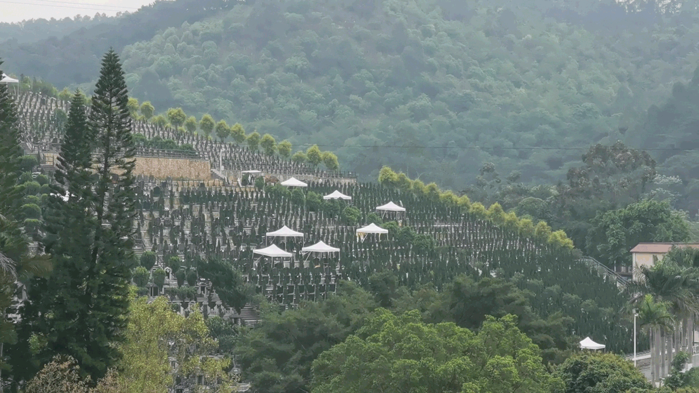 墓地价格越来越贵,还买得起吗?