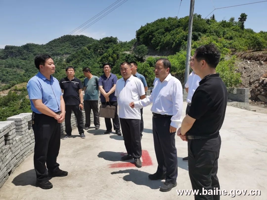 王日新调研督导"三夏"生产,自建房安全排查,乡村振兴示范建设等工作