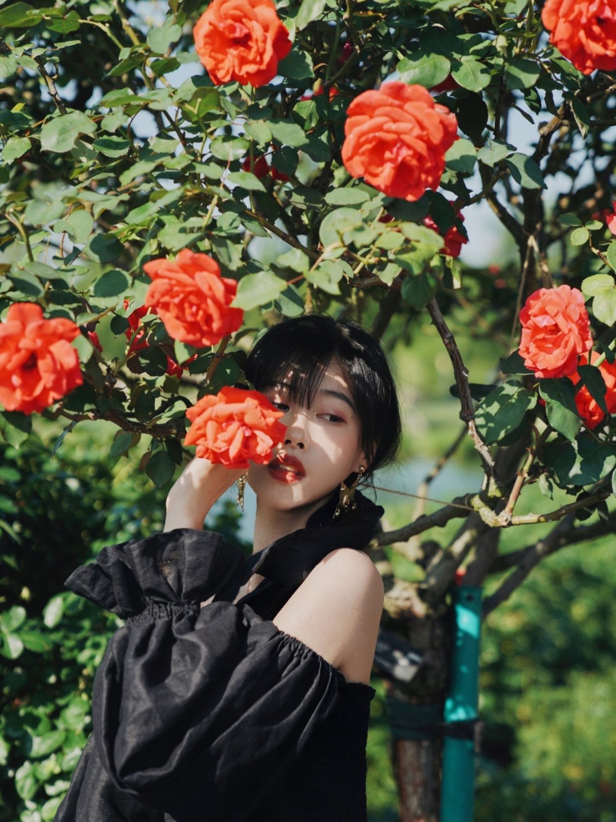 走近她,低头深嗅之时,心中便有了馨香和美好