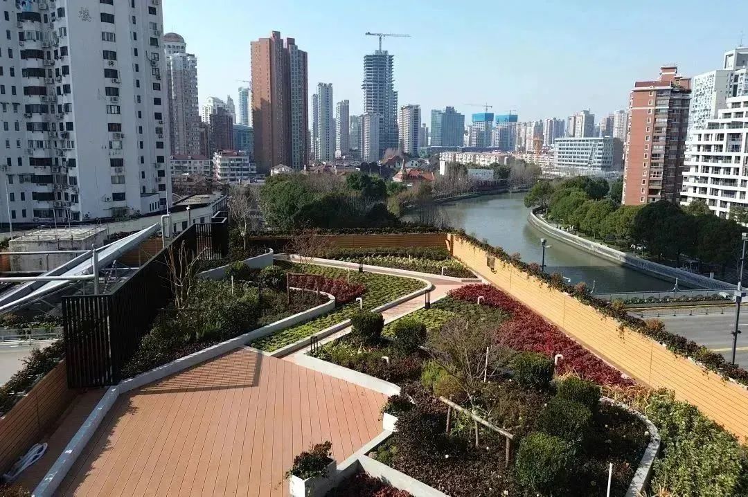 营造多维绿化景观:走进石门二路街道立体绿化