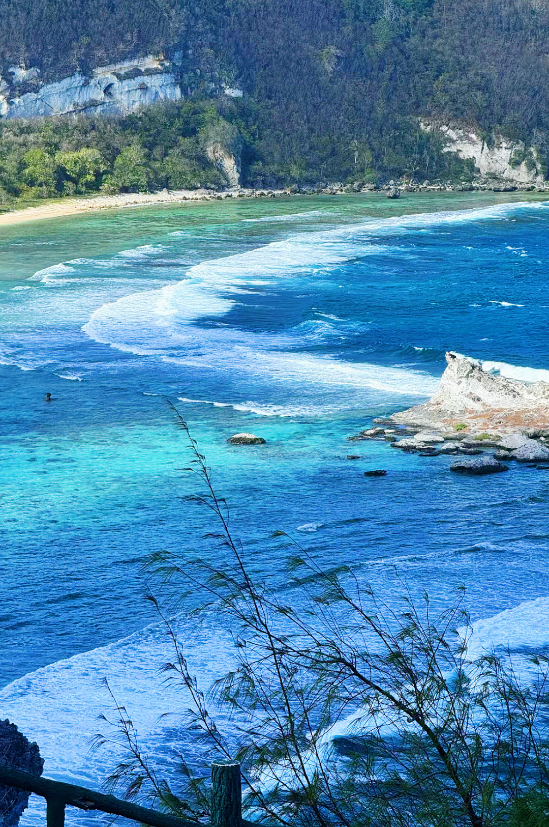 免签 直飞!玻璃海比马代更美,物价却堪比东南亚,人均5k飞去做快乐岛民