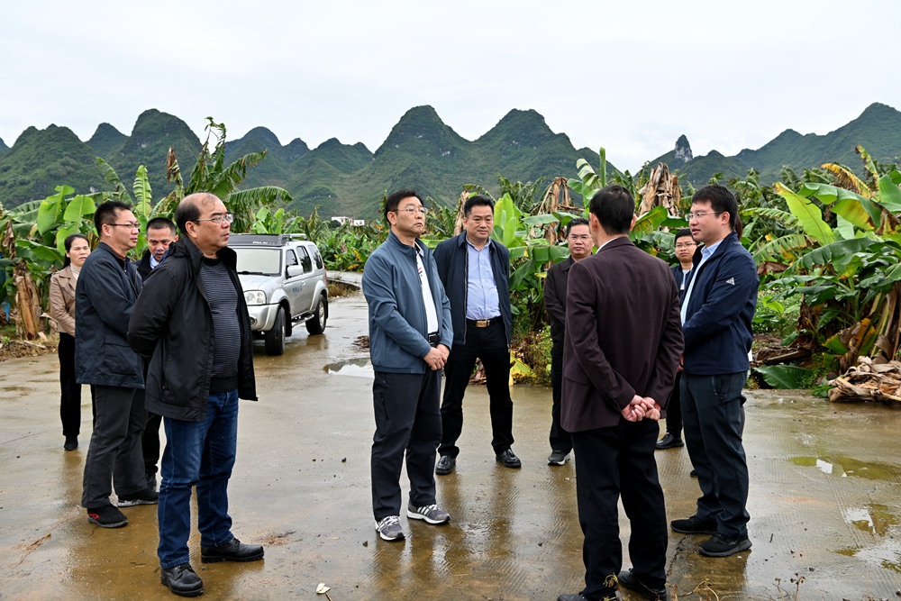 韦正业赴田阳区开展市领导乡村振兴联系点调研