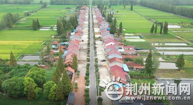 「精神文明創建·文明村鎮」江陵縣資市鎮青山村:文明花開耀青山