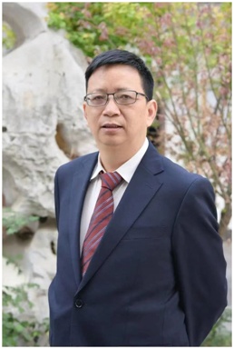 阅读的力量·一直在一起 | 朱志荣推荐《美学散步》