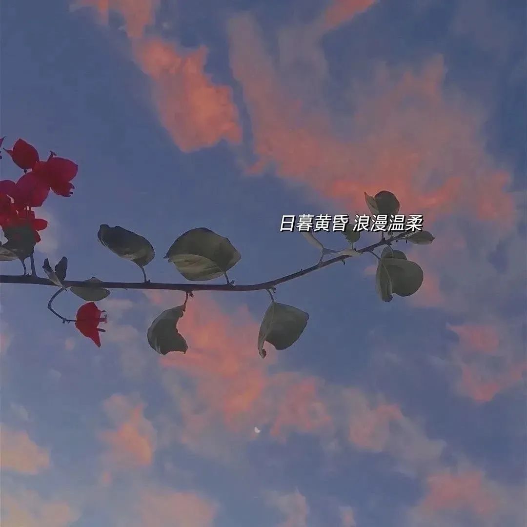 wechat微信背景图