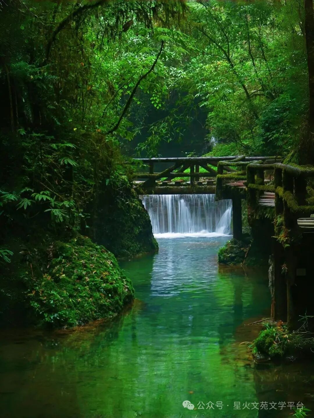 柳栓荣《听雨寄意〈巴山夜雨〉感怀》散文