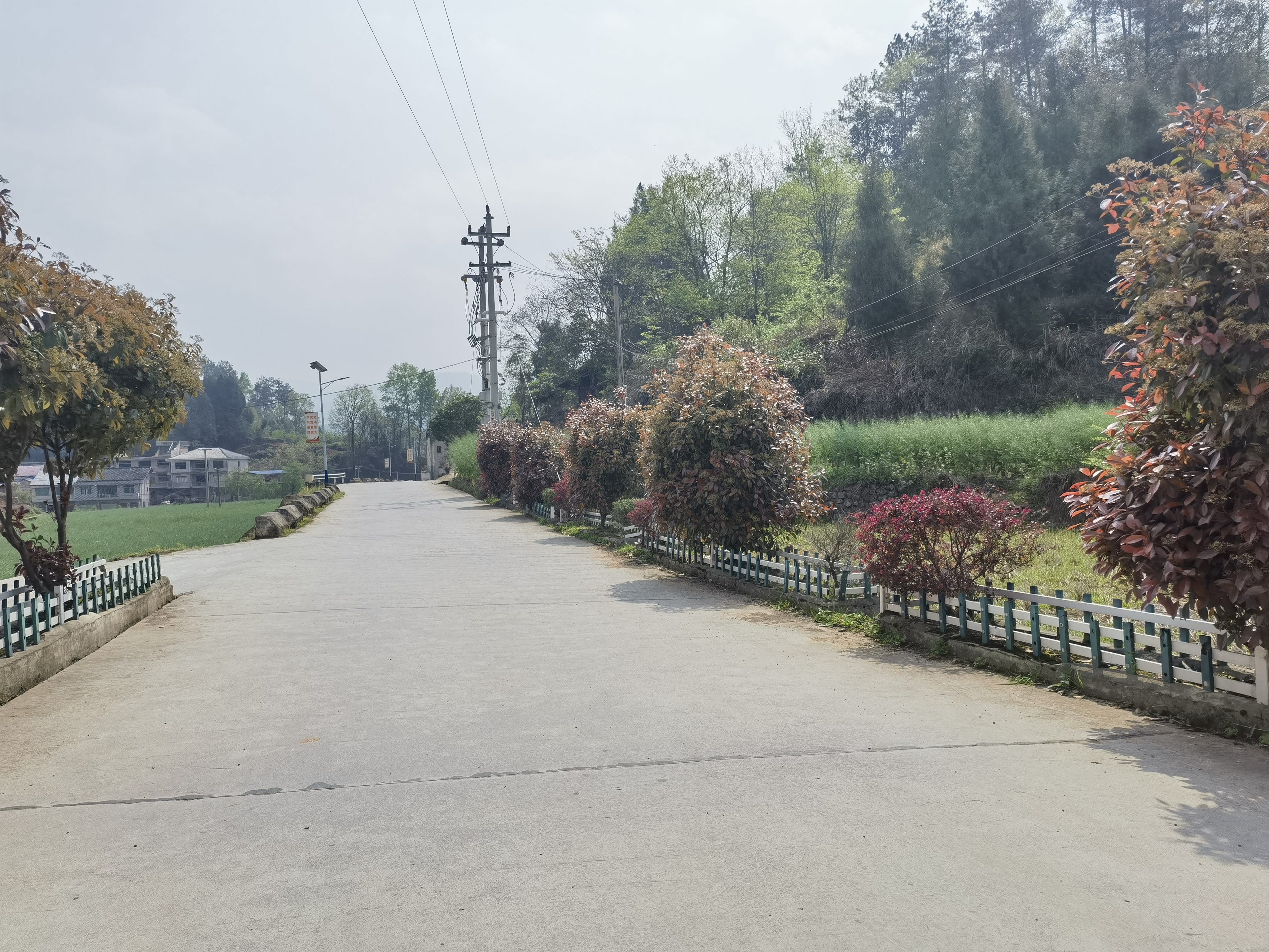 平溪镇"四大行动"不停步 和美城乡展新颜