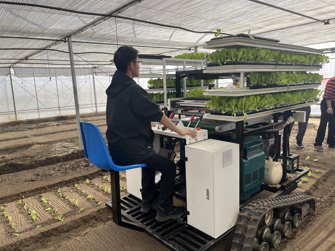 助力农业生产,宝山区举行蔬菜机械化生产示范现场会