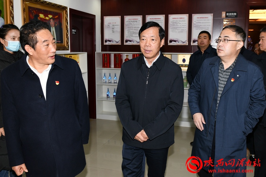 樊存弟赴白水县督导调研稳增长,重大风险防范化解等工作(组图)