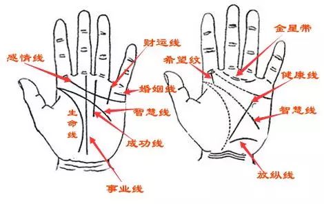 你是富贵还是贫穷?从手相看你一生运势好坏