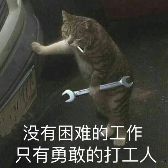 就业难表情包图片