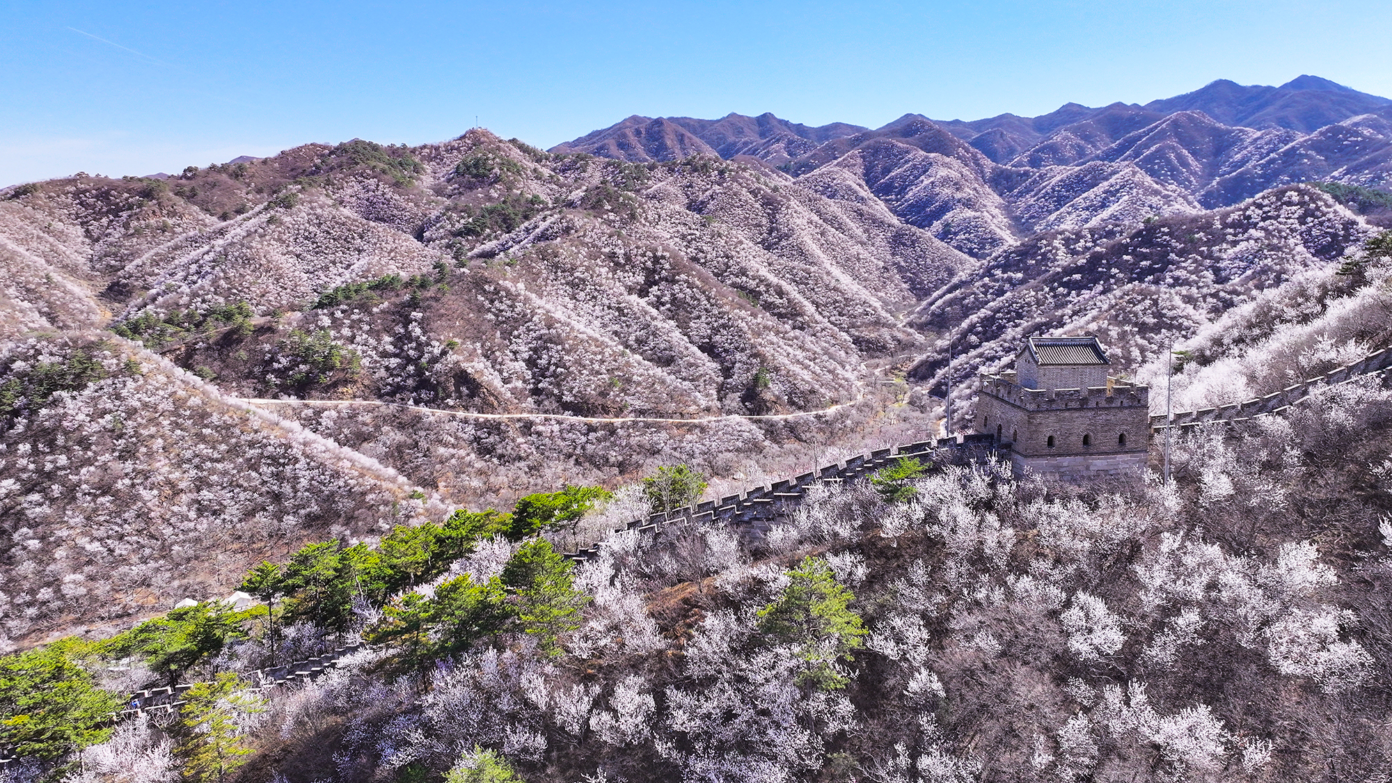 黄花水长城地图图片