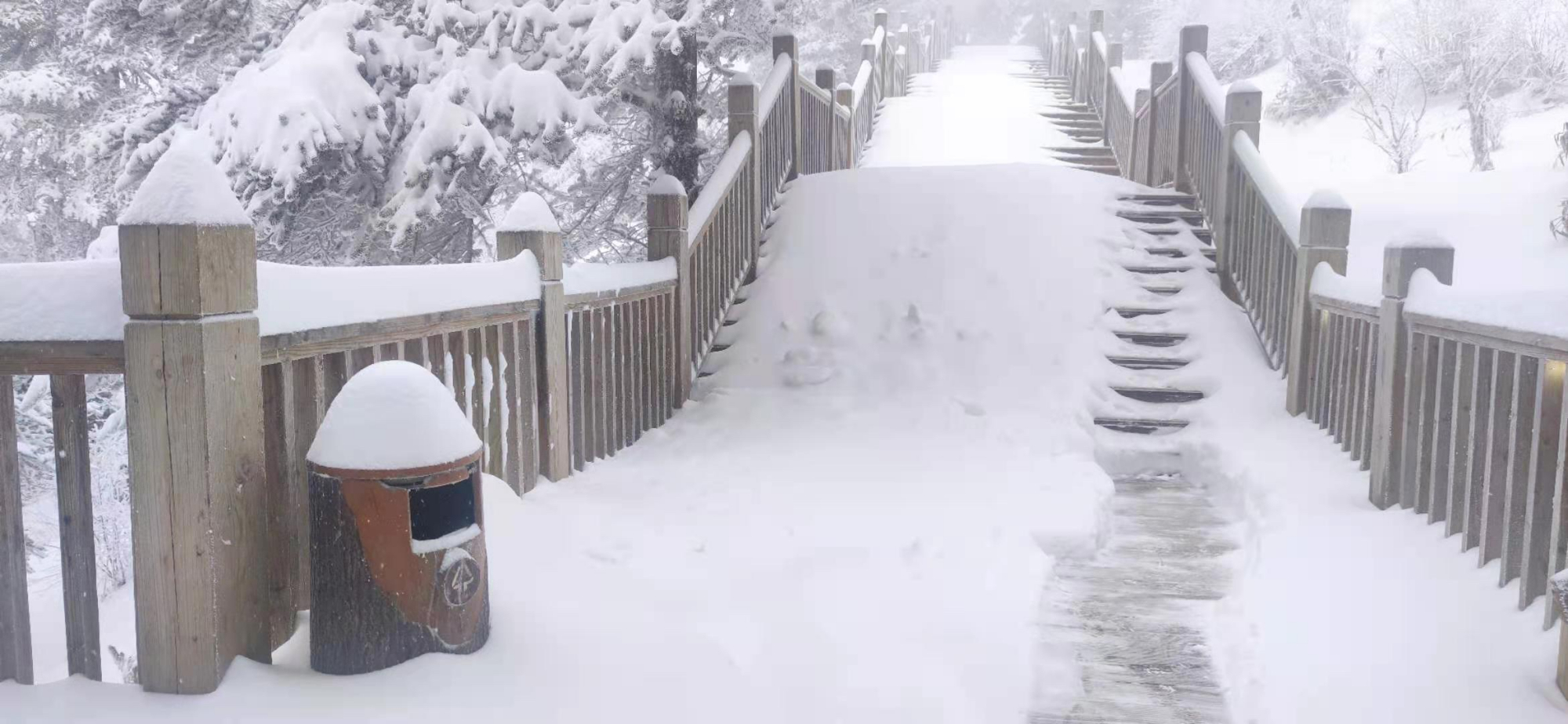 西岭飘雪图片