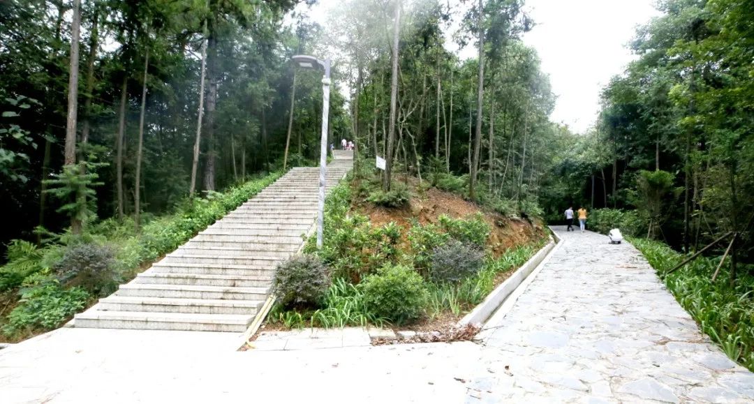 遇天高云淡的爽朗时光不妨到楼台山公园来一场"森呼吸"吧登上宁乡楼
