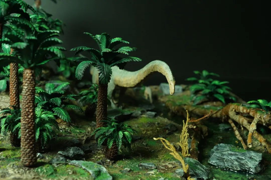 pnso博物馆系列新老马门溪龙