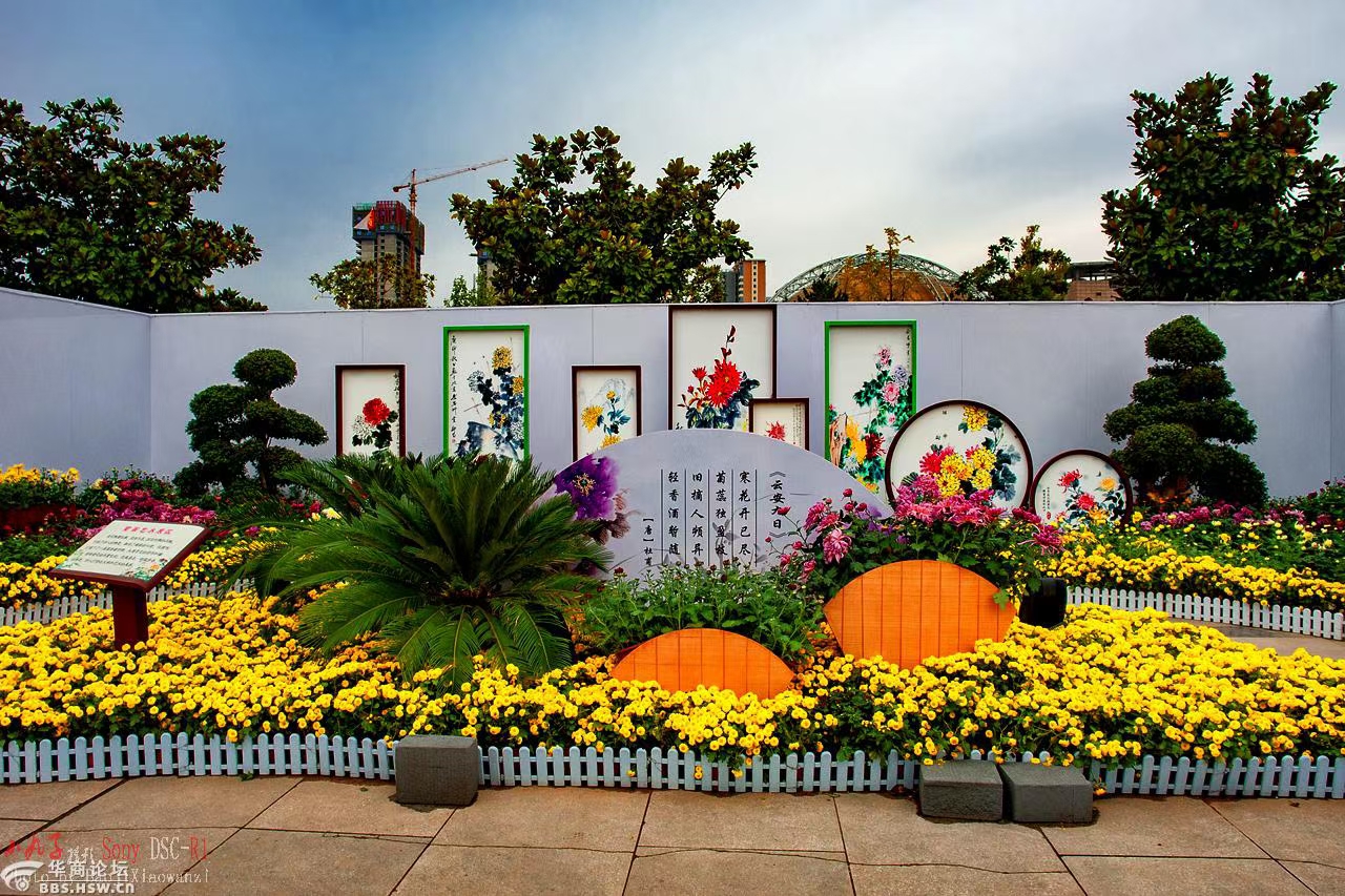 菊花展设计,公园菊花展布展