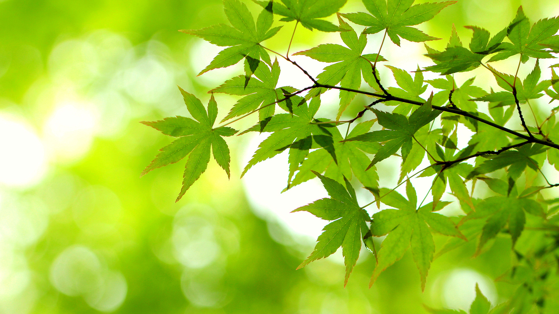 怎么高情商拒绝男朋友借钱