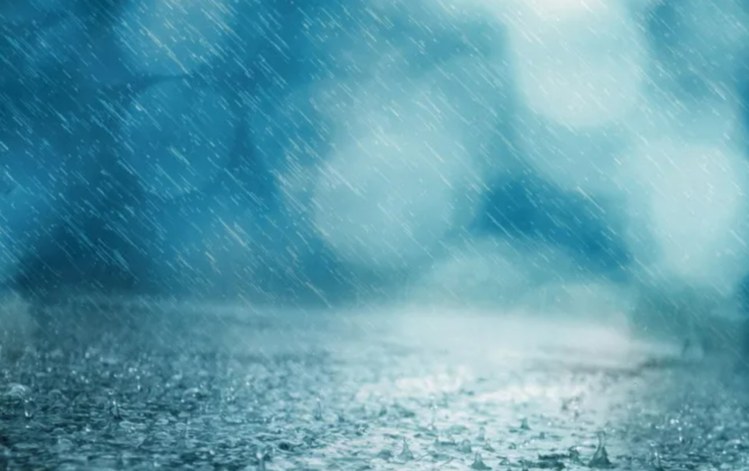 今天风大雨大,周末还会下雨吗?快看最新天气预报
