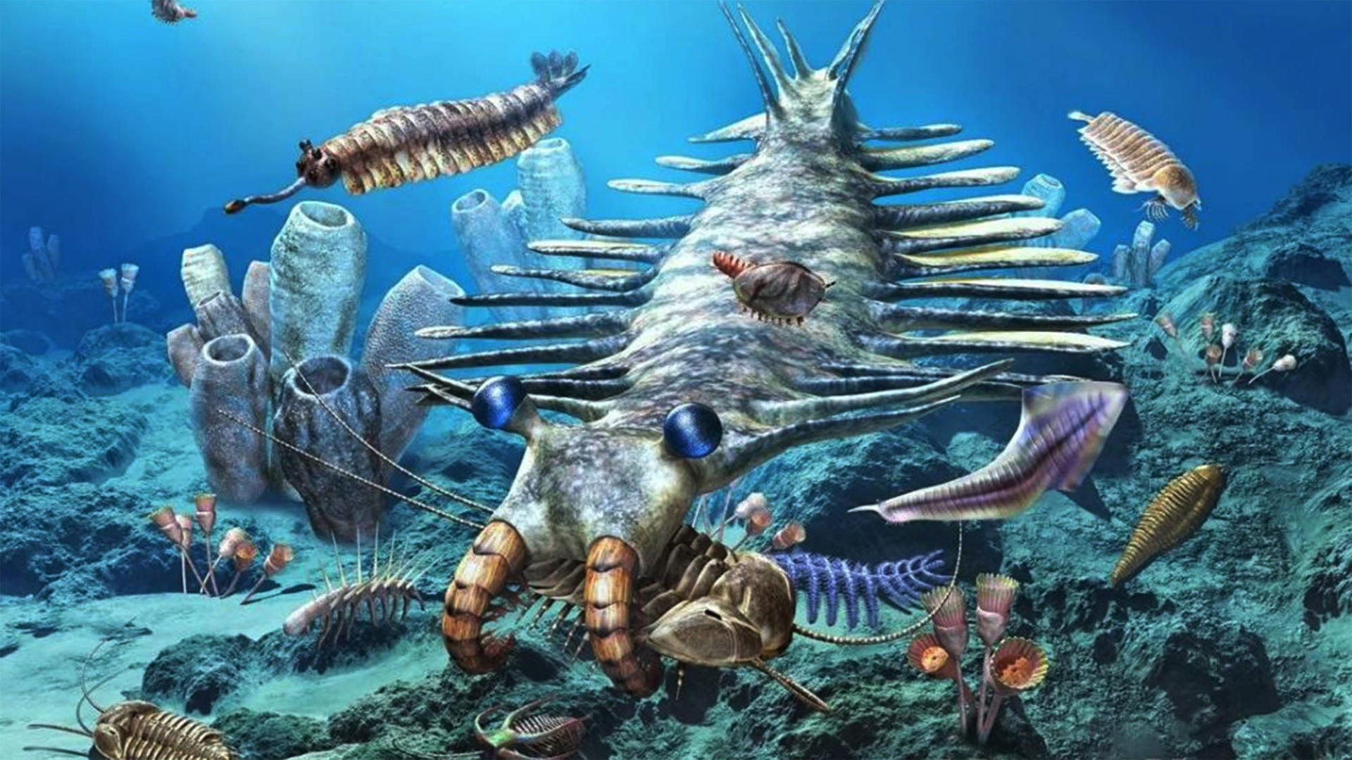 寒武纪霸主~奇虾,它究竟有多可怕?