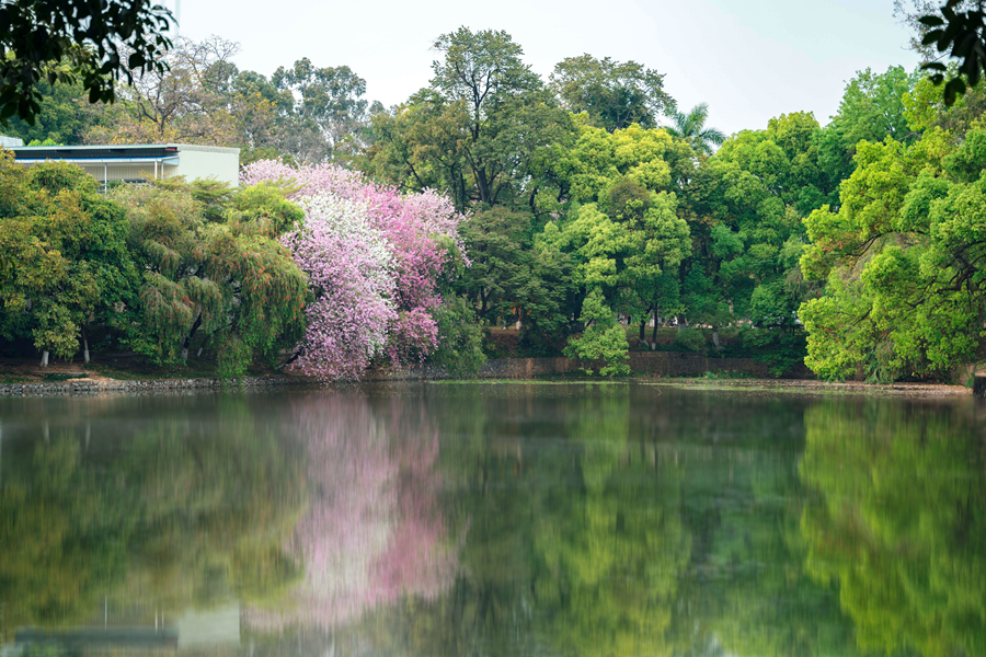 华南农业大学115周年校庆捐赠倡议(附捐赠指南)