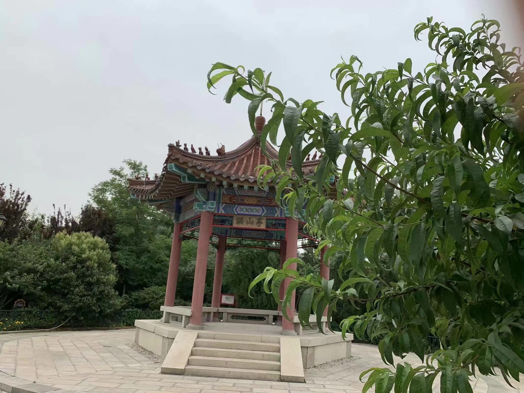 美景山东|济南洪山公园:兼具园林山景的市民后花园