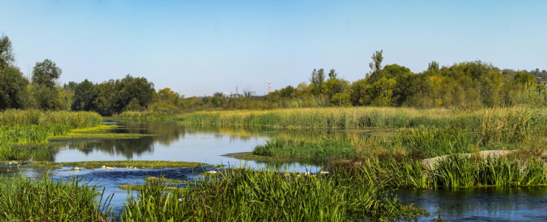 鶴壁淇河國家溼地公園