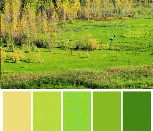 色卡里的春天,从色卡中寻找创意