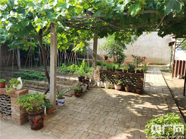 杞县:美丽庭院靓起来 乡村振兴富起来