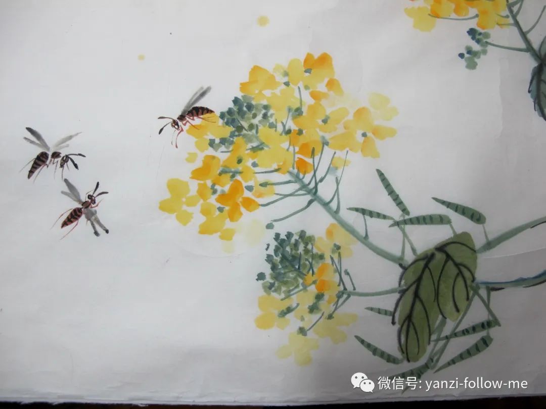 燕子老师少儿国画视频——油菜花