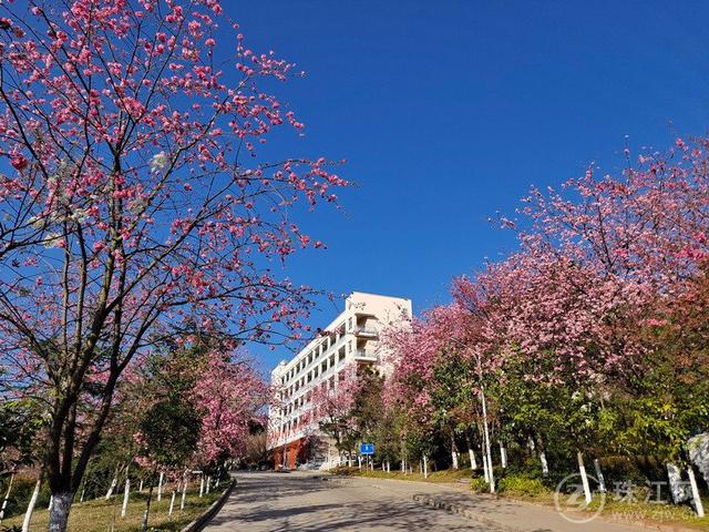 马江慧富源县第六中学图片