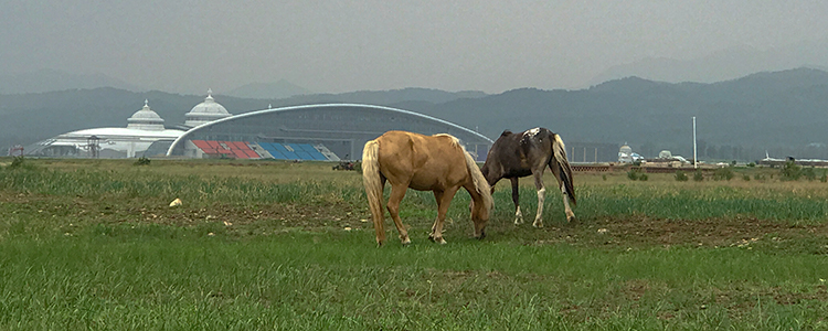 敕勒川草原在哪兒,內蒙古的萬畝草原主題公園,生態修復的樣板