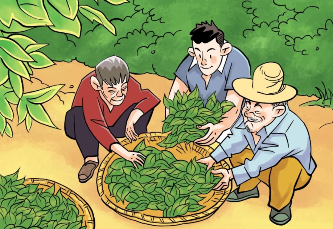 勐海县人民法院提醒:茶叶交易谨防诈骗