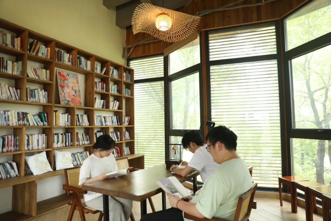 打卡庄行镇稻田里的"图书馆"