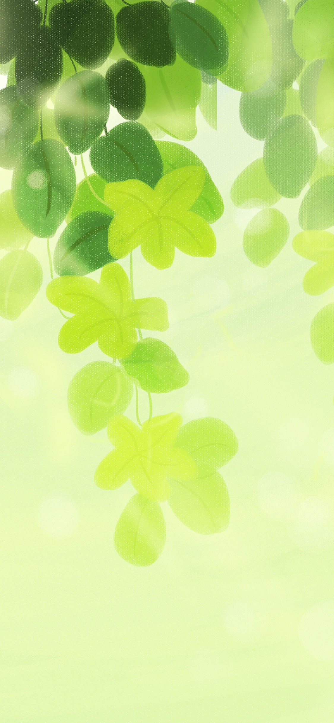 高清手机壁纸‖护眼绿植-伸个懒腰,休息一下