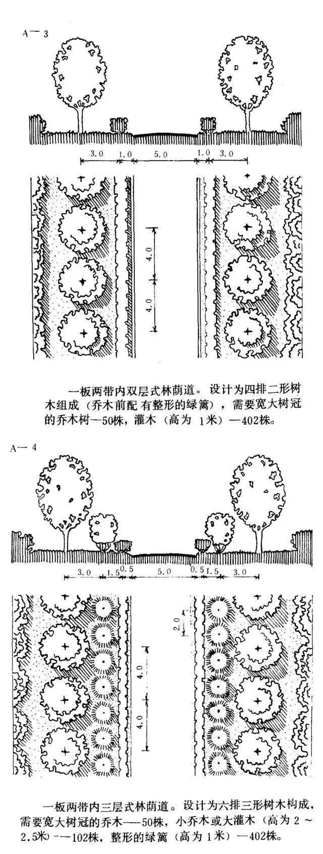 道路两侧绿化平面图图片