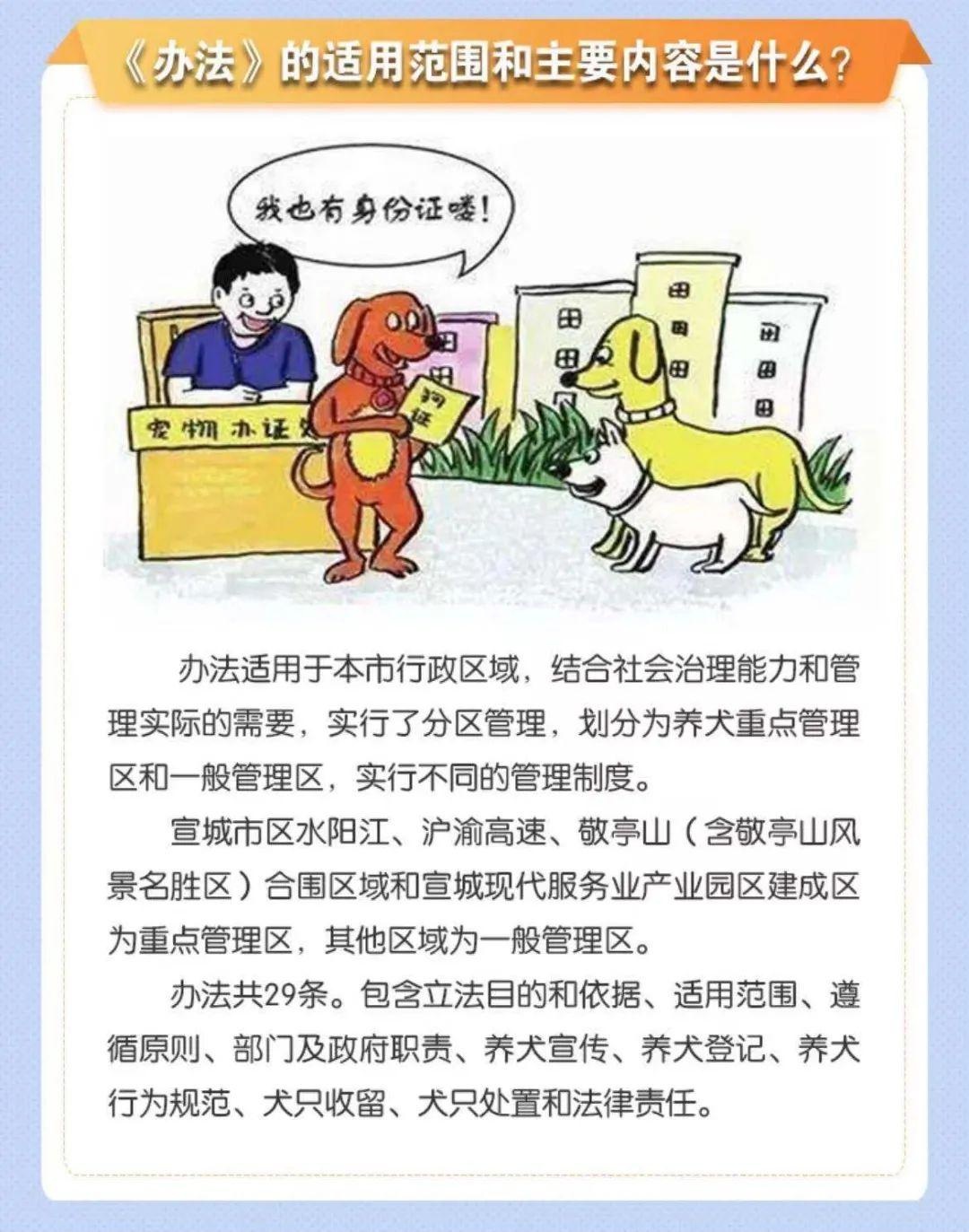 《宣城市养犬管理办法》图片解读