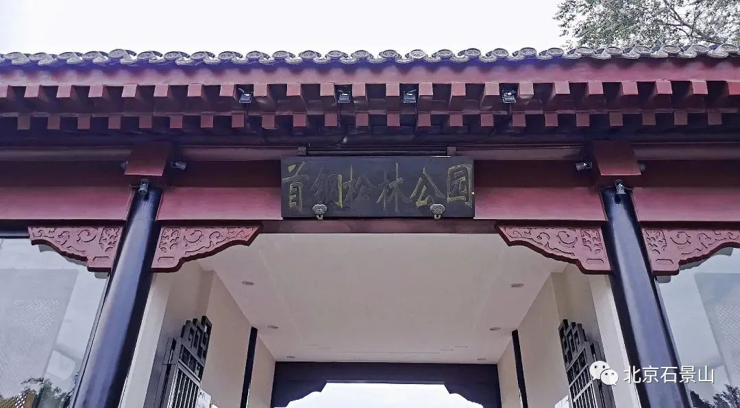 松林公园:长安街旁闹中取静