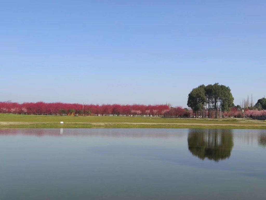 新都 风景图片