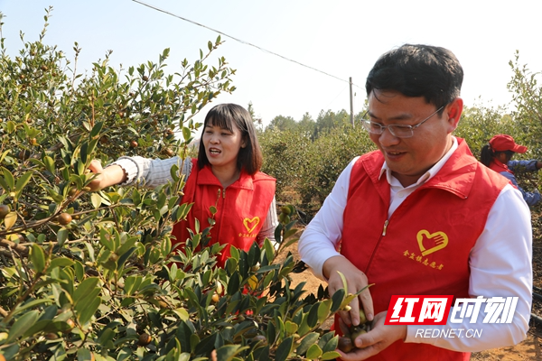 湖南新田金盆镇图片