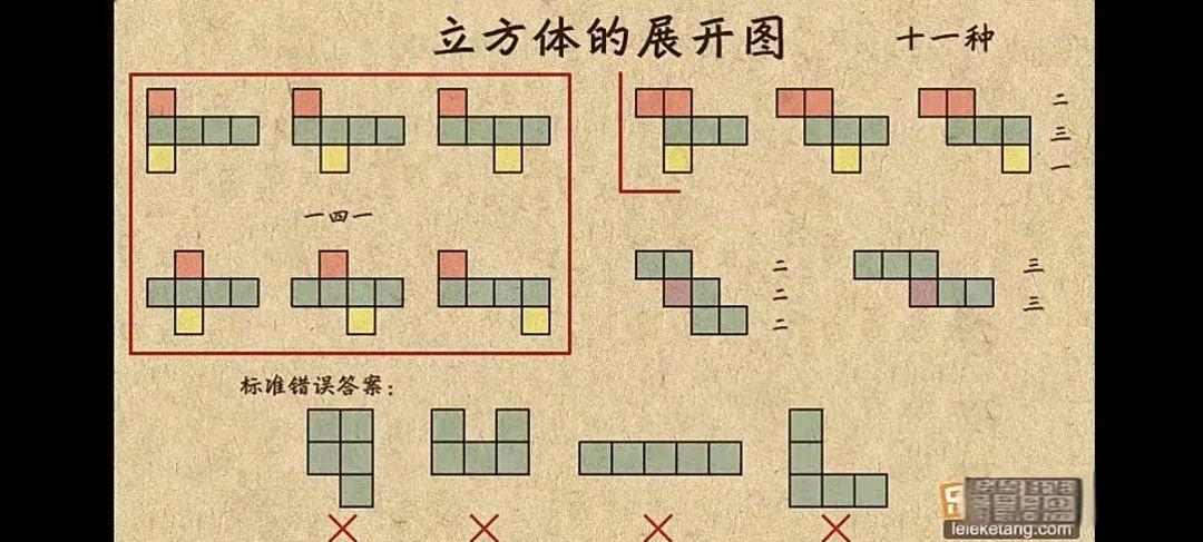 探索长方体展开图的奥秘