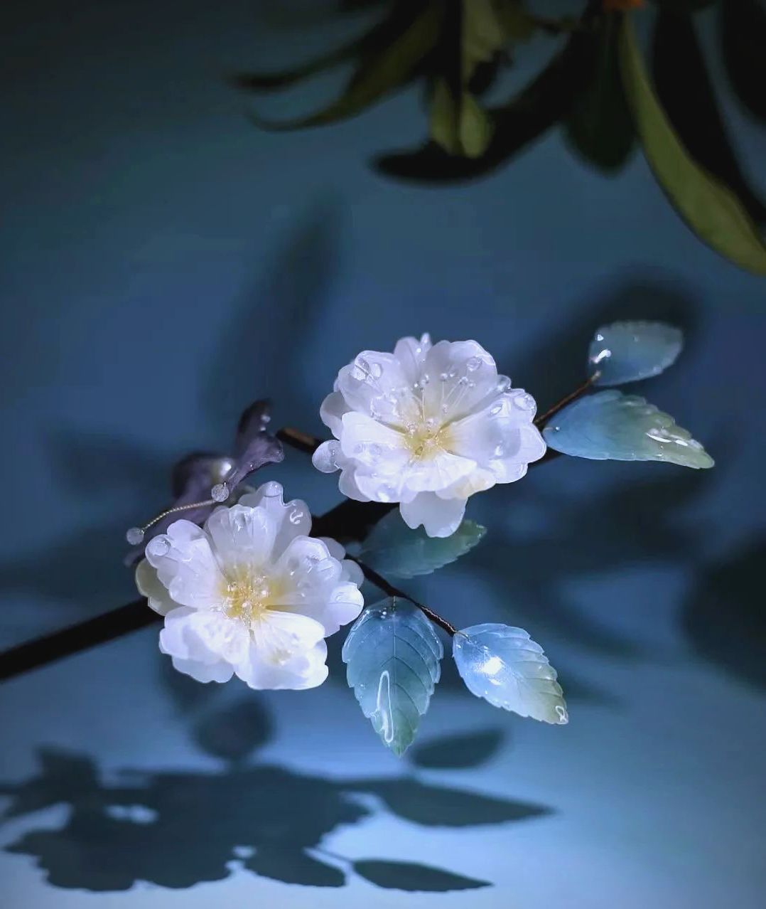 荼蘼花:一种富有寓意与多样文化内涵的植物