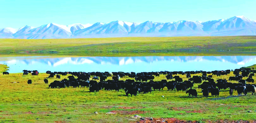 "一村一品"走上特色幸福路