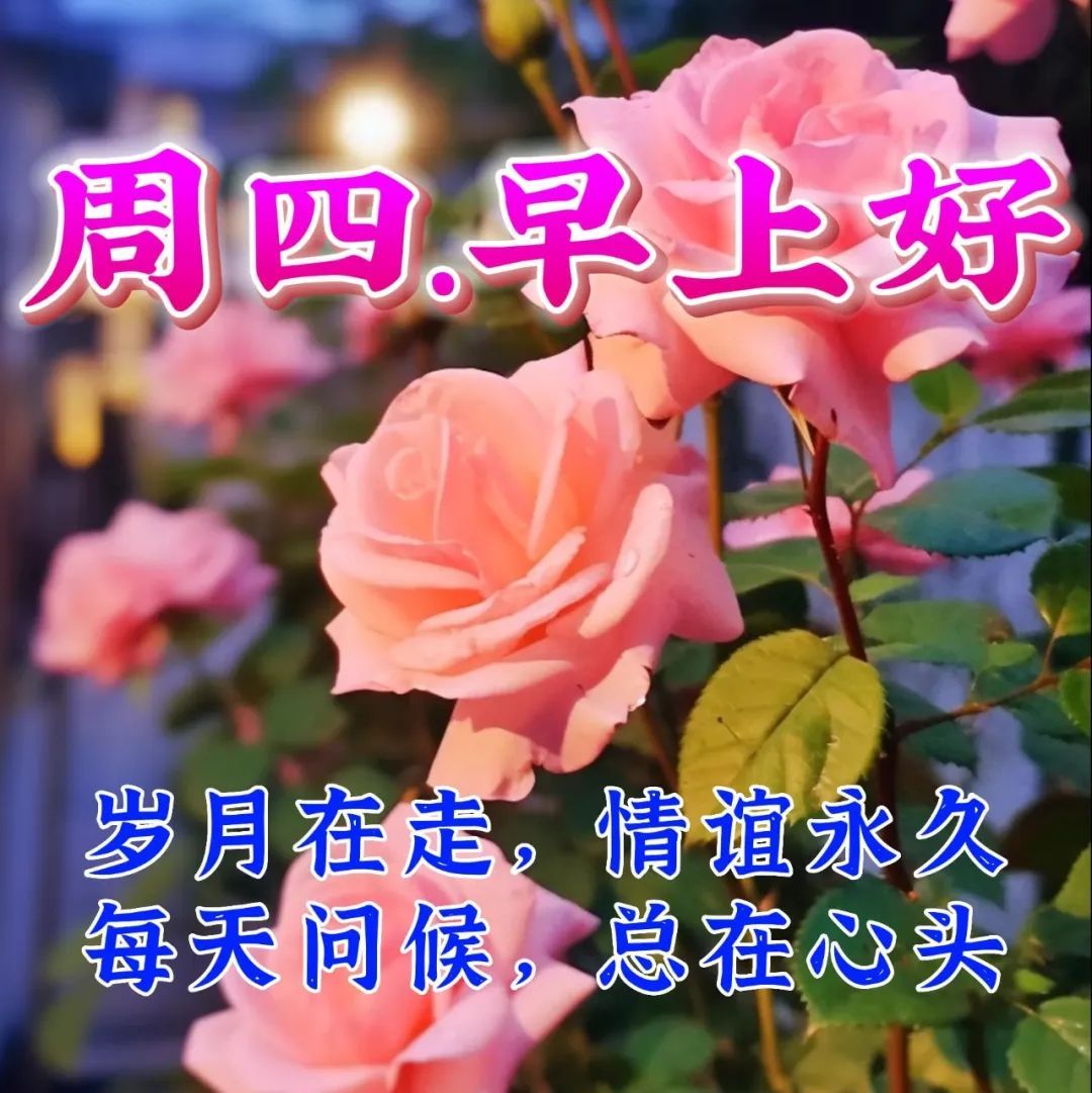 7月27日周四早上好,早安祝福语图片带字