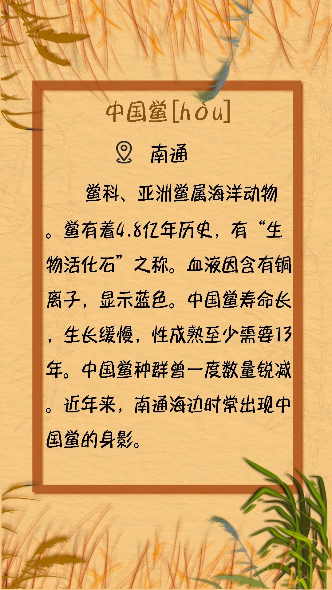  南通海底世界 供图> 高邮供电公司 供图> 王明强 供图> 周晨曦 摄> 