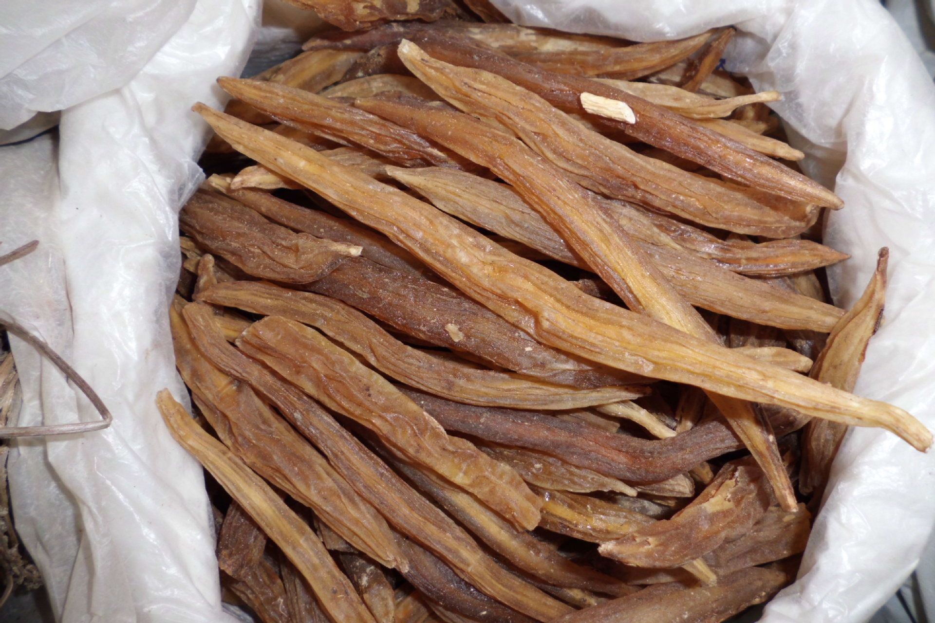 中草药材——天门冬