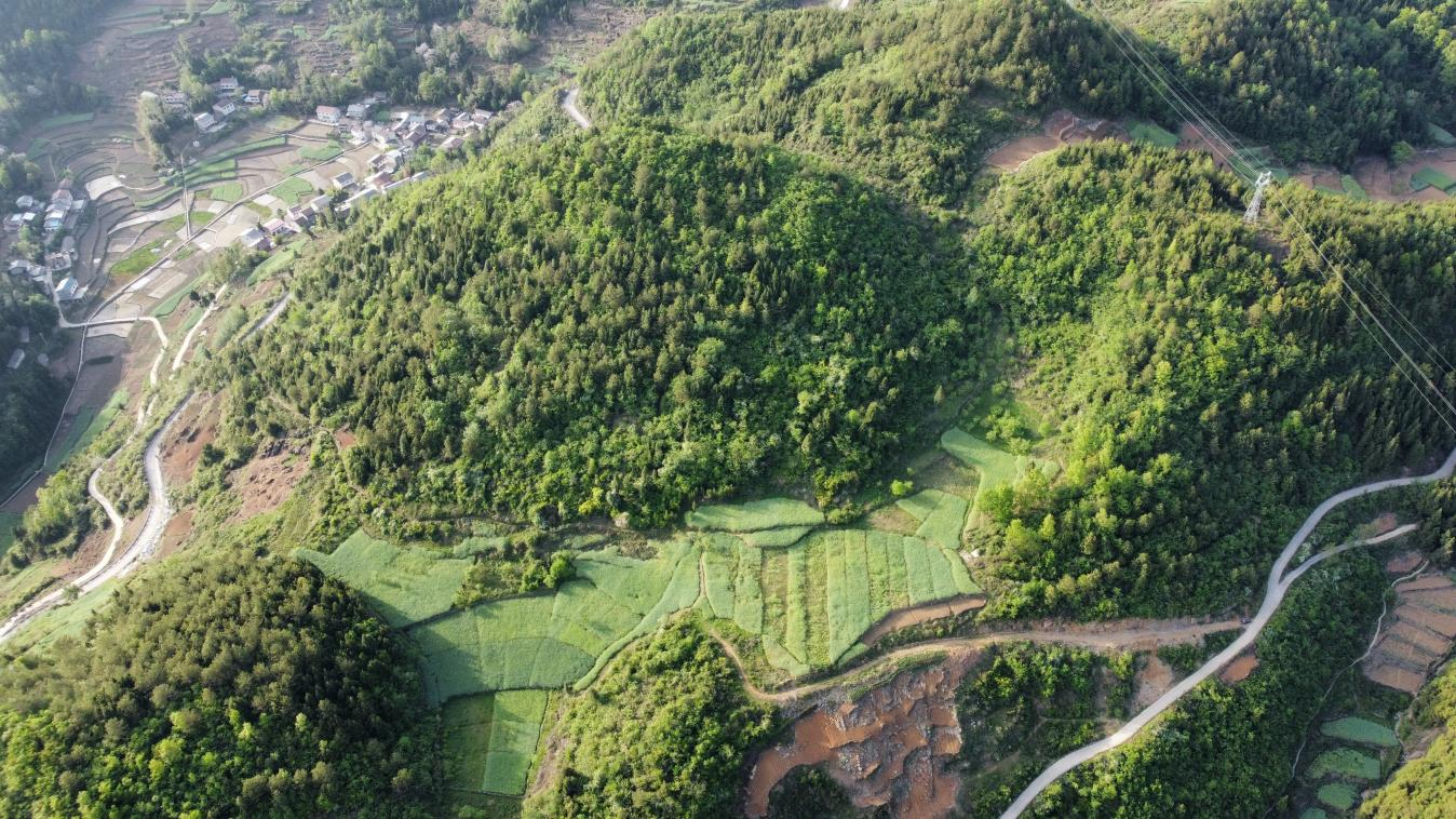 万源市铁矿镇白果坪村:整治撂荒扩种大豆 百亩示范基地开建
