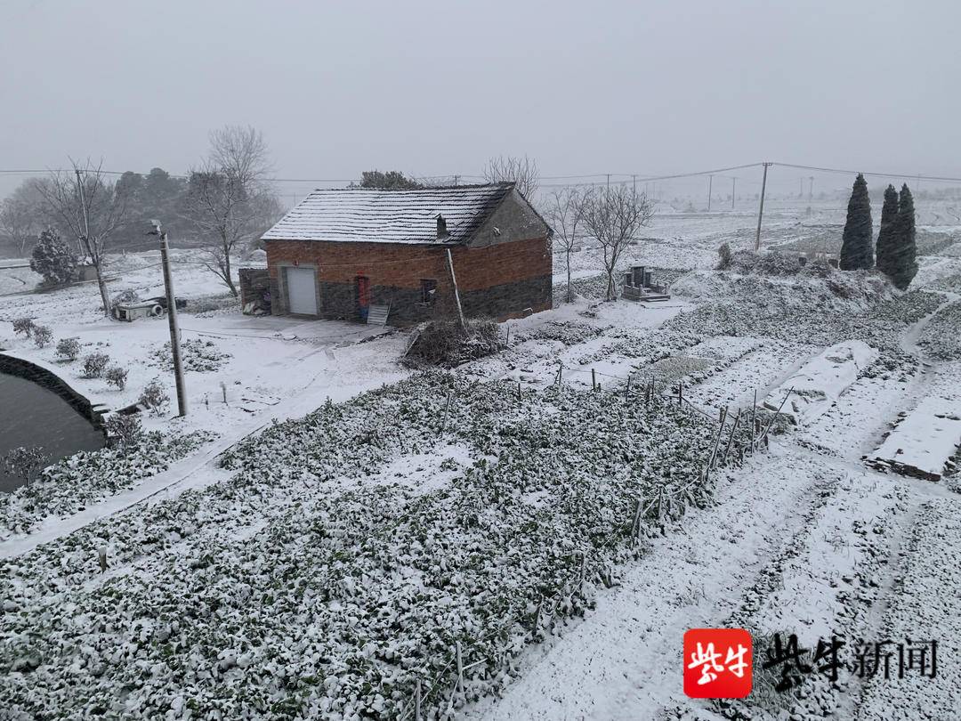 大雪天 农村图片