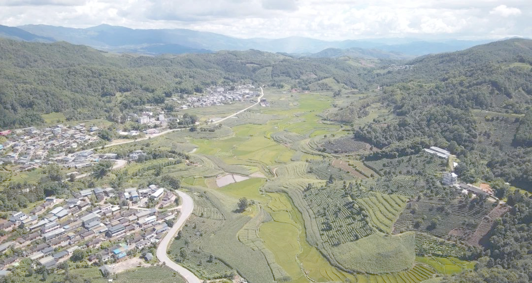 澜沧县酒井乡的甘蔗产业蓬勃发展,乡村振兴势头强劲!