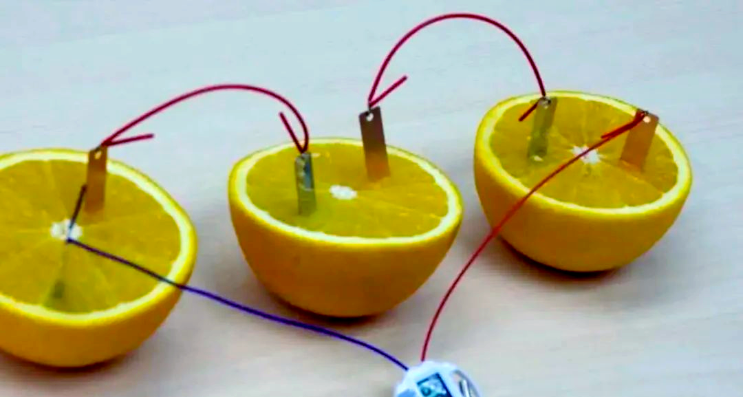 水果电池虽小,却能产生意想不到的供电能力